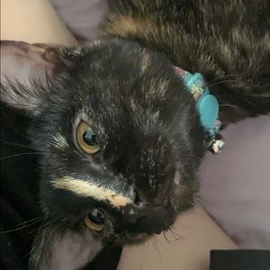 Meet your Posher, Nevaeh